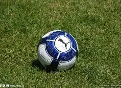 当红男星喜,结连理,婚礼现场照,PG电子平台,PG电子官方网站,PG电子登录入口,PG电子app下载