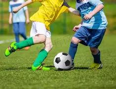 苏超,南哥,全胜解析,PG电子平台,PG电子官方网站,PG电子登录入口,PG电子app下载