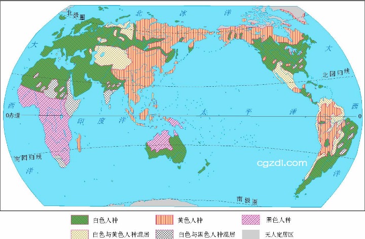 德甲,新星闪耀,帕夫洛维奇,PG电子平台,PG电子官方网站,PG电子登录入口,PG电子app下载