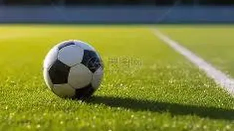 林书豪36岁宣布退役，罕见公开与妻子甜蜜合影，曾秘密结婚两年